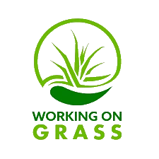 Working on Grass Logo